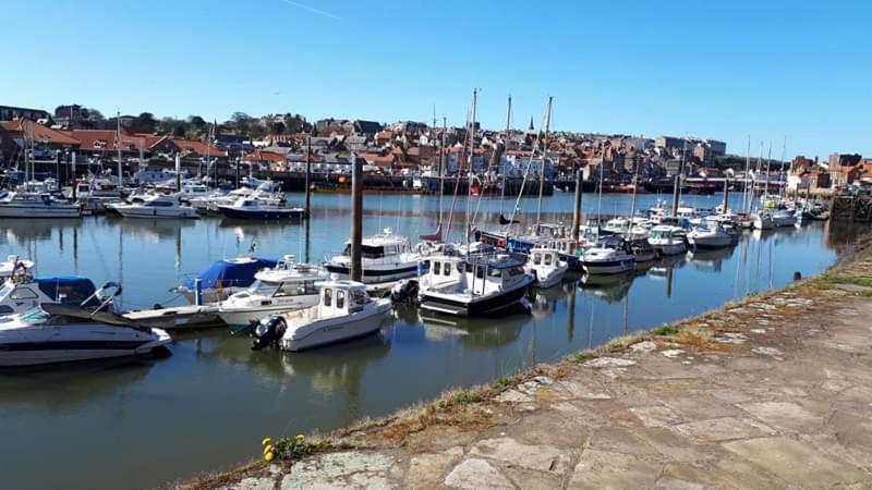 Albion Cottage Whitby Esterno foto